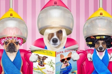 Back-end development