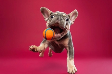 Back-end development